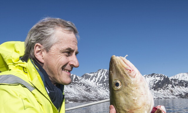 NRK: - Har du «haill»? Jonas: - Det er i orden